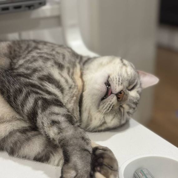 แชท หาเพื่อนคุย, หากิ๊ก 