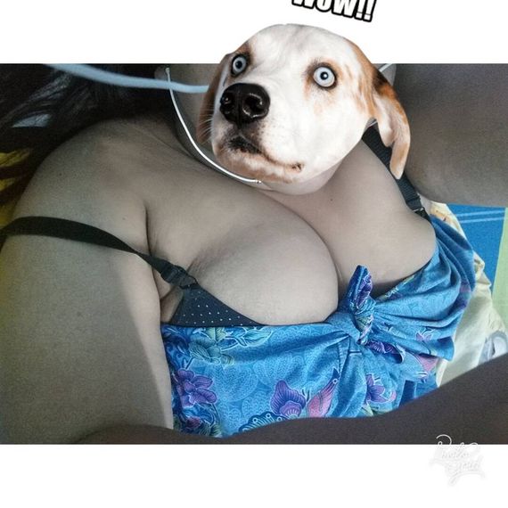 แชท หาแฟน, หาเพื่อนคุย  ที่อยู่ กรุงเทพมหานคร