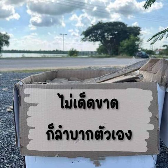 แชท หาแฟน, หาเพื่อนคุย 