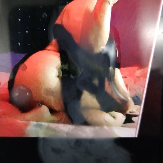 แชท หาแฟน, หาเพื่อนคุย 