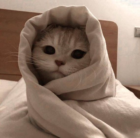 chat looking for friends 