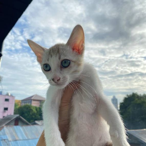 แชท หาเพื่อนคุย, หาเพื่อนเที่ยว 