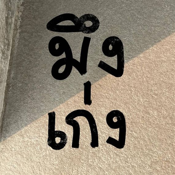 แชท โสด 
