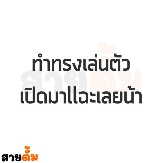 แชท หาเพื่อนคุย 