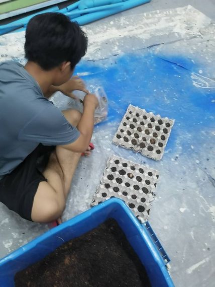 แชท หาแฟน, หาเพื่อนคุย 