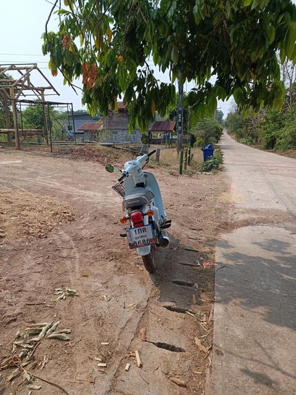 แชท โสด 