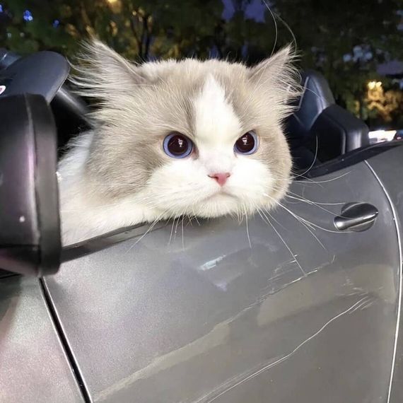 แชท หาเพื่อนคุย, หาเพื่อนไลน์ 