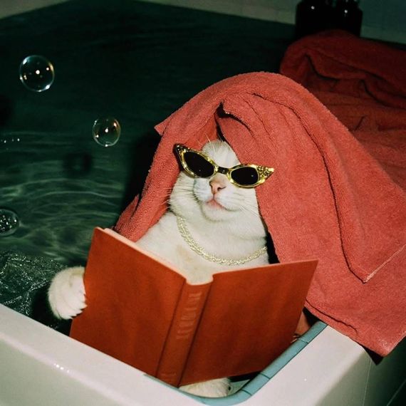 chat chat, single 