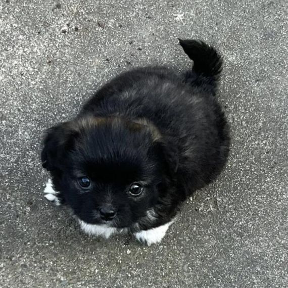 แชท หาเพื่อนคุย, หาเพื่อนเที่ยว 