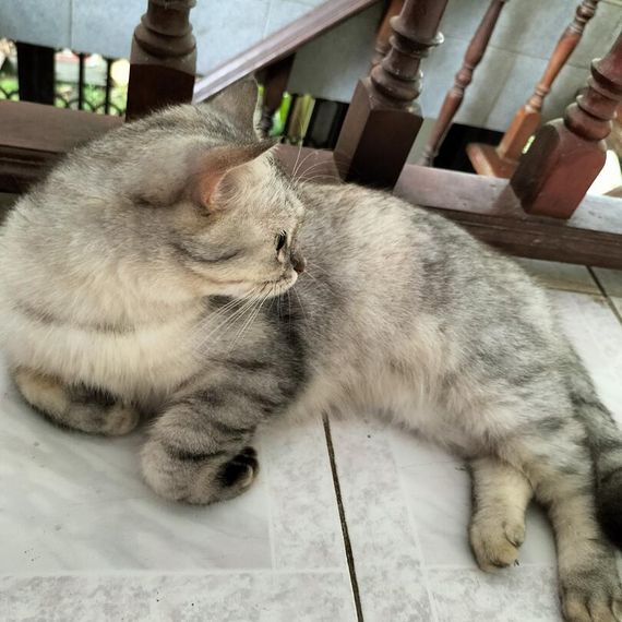 แชท หาเพื่อนคุย  ที่อยู่  ตราด