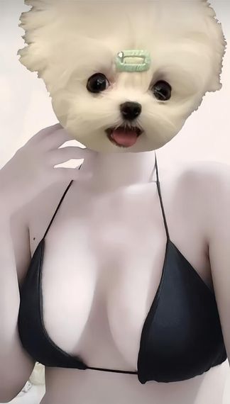 chat looking for friends 