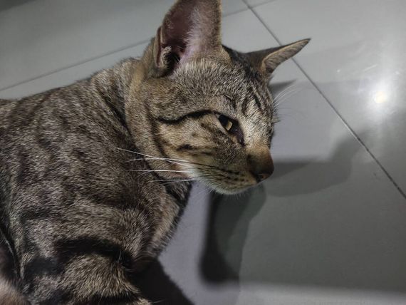 แชท หาเพื่อนคุย  ที่อยู่  สมุทรปราการ