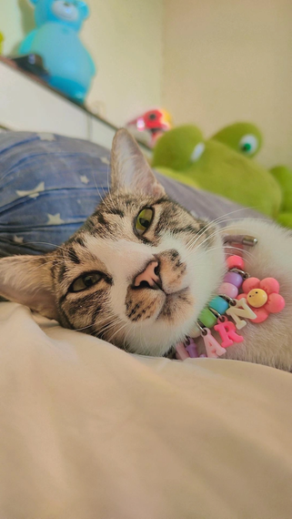 แชท หาเพื่อนคุย, หาเพื่อนเที่ยว