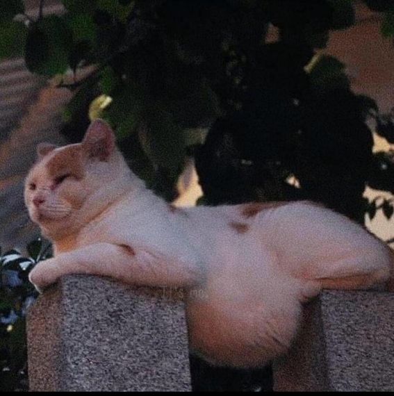 แชท หาเพื่อนคุย, หาเพื่อนเที่ยว