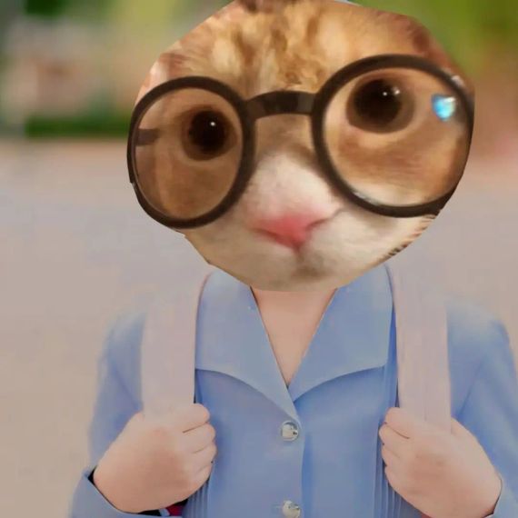 chat looking for friends 
