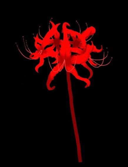 chat find love, single 