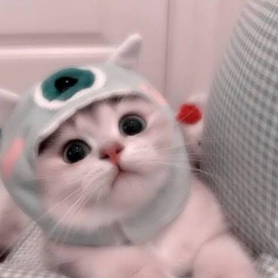 แชท หาเพื่อนคุย ที่อยู่ กรุงเทพมหานคร