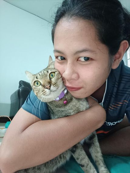 chat chat 