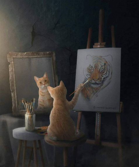 แชท หาเพื่อนคุย, หาเพื่อนเที่ยว