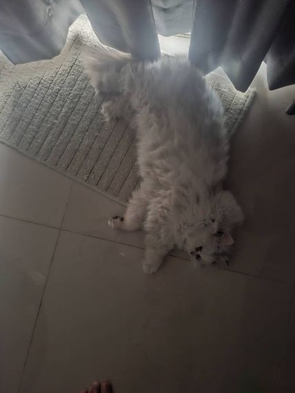 แชท หาเพื่อนคุย, หาเพื่อนเที่ยว 