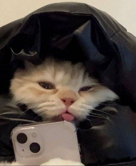 chat looking for friends