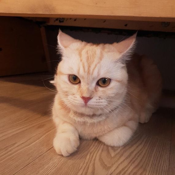 แชท หาเพื่อนคุย ที่อยู่ เชียงใหม่