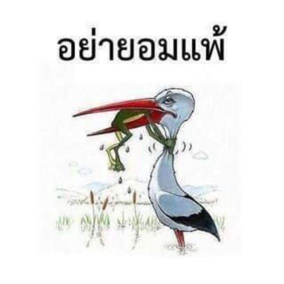 แชท หาเพื่อนเที่ยว 