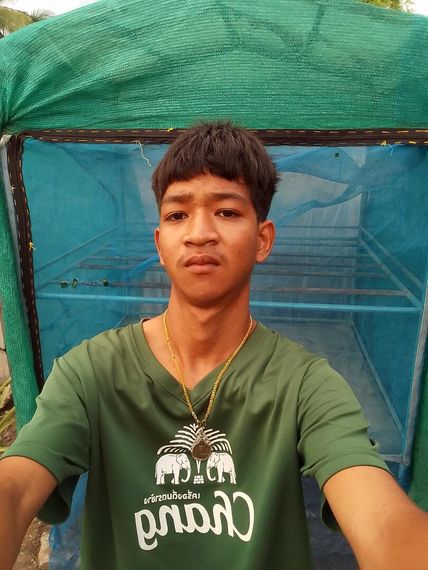 แชท หาแฟน, หาเพื่อนคุย 