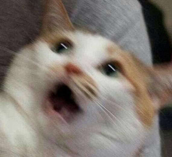 แชท หาเพื่อนคุย, หาเพื่อนเที่ยว 