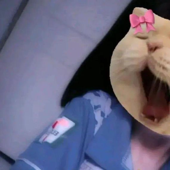 แชท หาเพื่อนคุย, หาเพื่อนเที่ยว