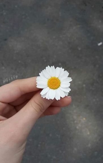 chat looking for friends 