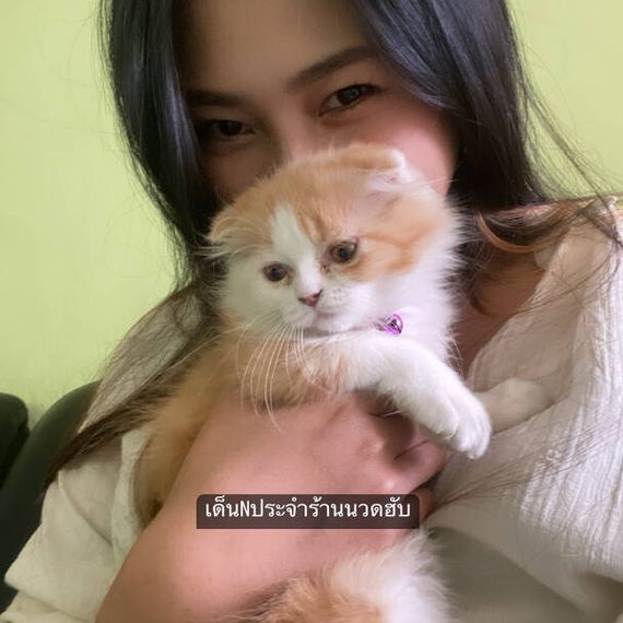 แชท หาเพื่อนคุย, หาเพื่อนเที่ยว  ที่อยู่ กรุงเทพมหานคร