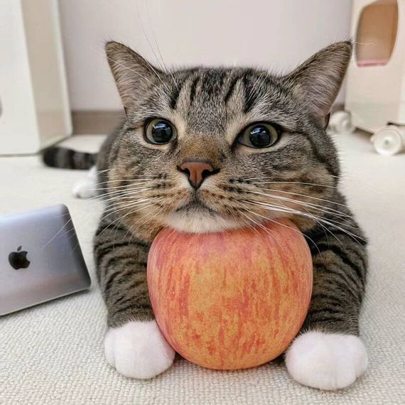 แชท หาเพื่อนคุย, หาเพื่อนเที่ยว 