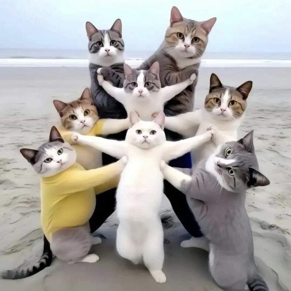 แชท หาแฟน, หาเพื่อนคุย  ที่อยู่  สมุทรปราการ