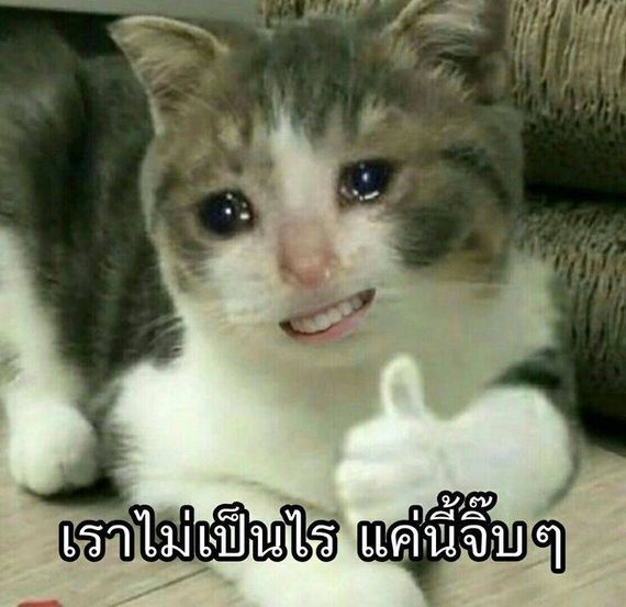 แชท หาแฟน, หาเพื่อนคุย 