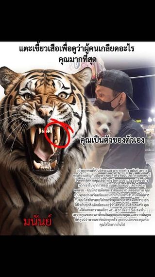 แชท หาเพื่อนคุย, หาเพื่อนไลน์ 