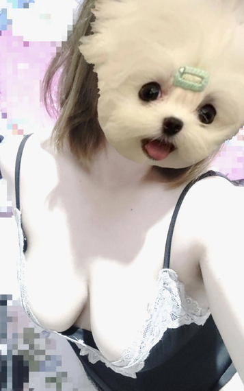 แชท หาเพื่อนคุย, หากิ๊ก 