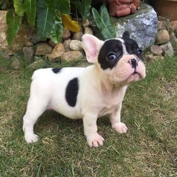 แชท หาเพื่อนคุย  ที่อยู่ กรุงเทพมหานคร