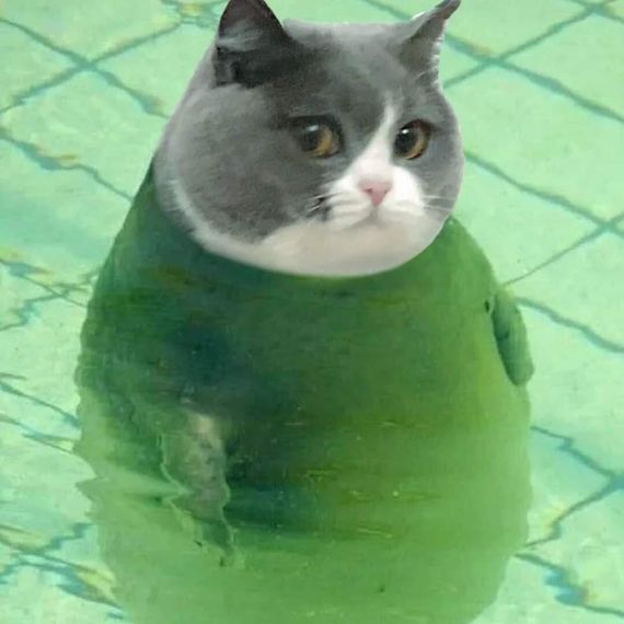 แชท หากิ๊ก 