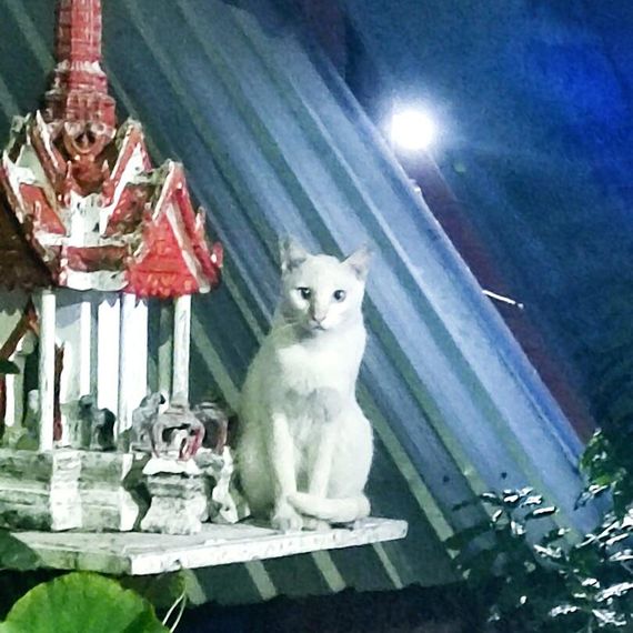 แชท หาเพื่อนคุย  ที่อยู่ กรุงเทพมหานคร