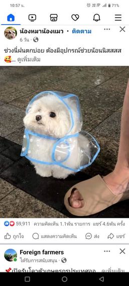 แชท หาเพื่อนคุย  ที่อยู่  เชียงราย