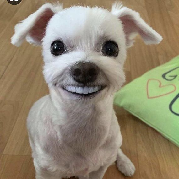 chat looking for friends