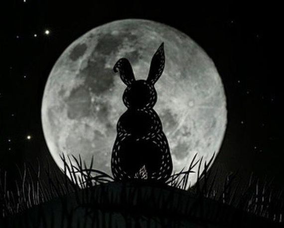chat looking for friends