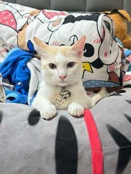 แชท หาเพื่อนคุย  ที่อยู่ กรุงเทพมหานคร