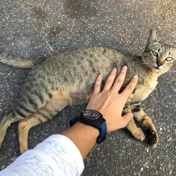 แชท หาเพื่อนคุย, หาเพื่อนเที่ยว