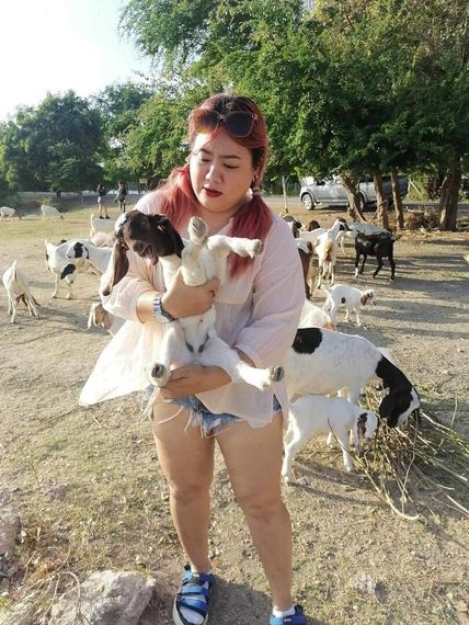 แชท หาแฟน, หาเพื่อนคุย 