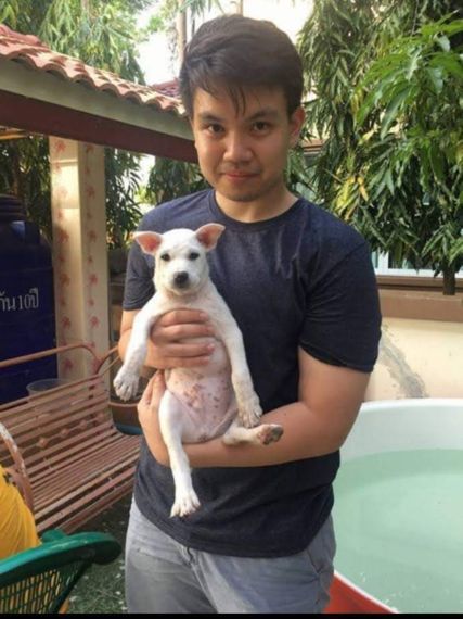 แชท หาแฟน, หาเพื่อนคุย 