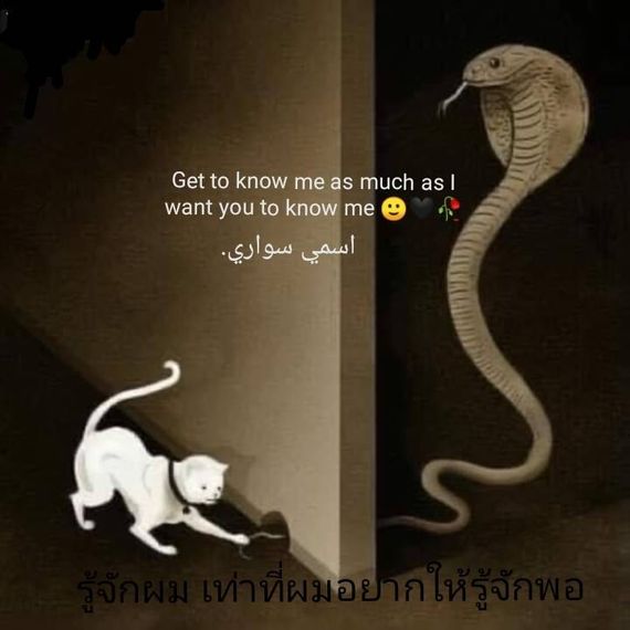 แชท หาเพื่อนเที่ยว, หากิ๊ก 