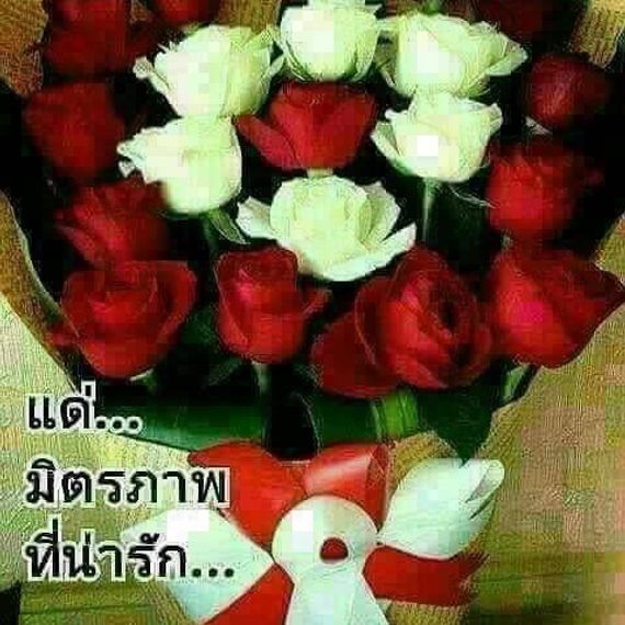 แชท หาแฟน, หาเพื่อนคุย 