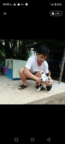 แชท โสด  ที่อยู่  พิจิตร